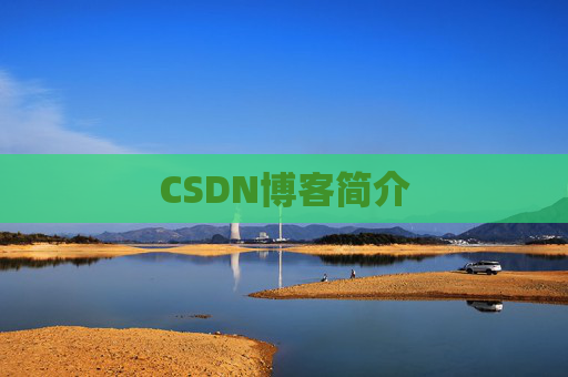 CSDN博客简介